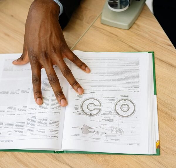 advanced online tool details explained